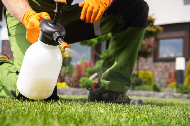 Best Pest Control Near Me in Florence, CO