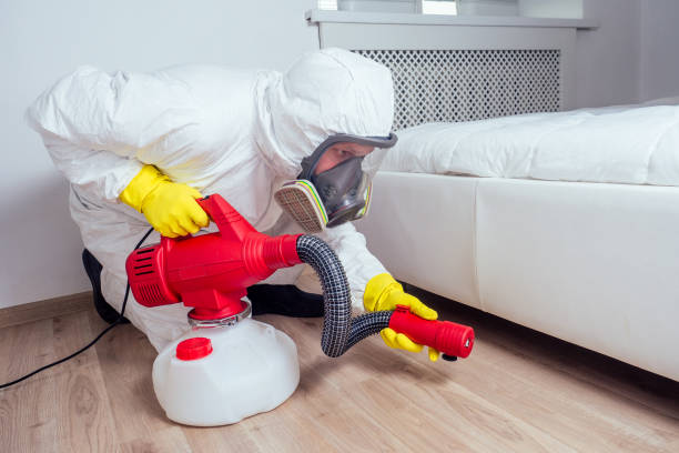 Best Wasp Removal Services  in Florence, CO