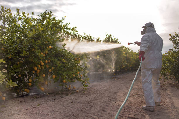 Best Local Pest Control Services  in Florence, CO