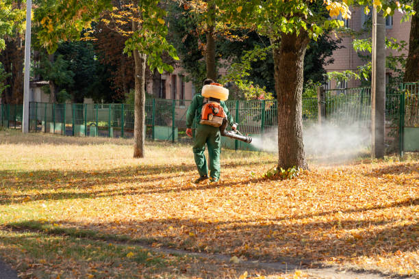 Best Affordable Pest Control Services  in Florence, CO