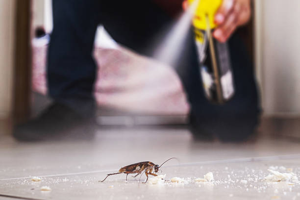 Best Best Pest Control Companies  in Florence, CO
