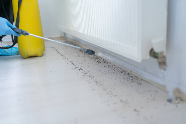 Best Emergency Pest Control  in Florence, CO