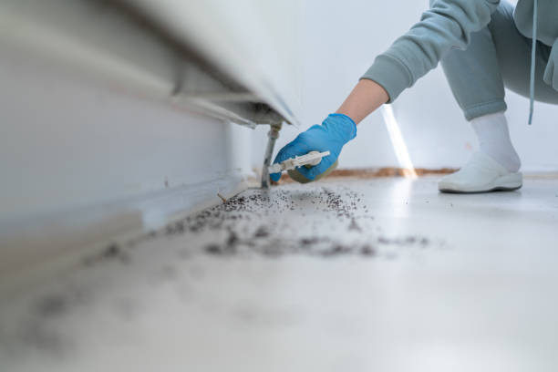 Trusted Florence, CO Pest Control Experts
