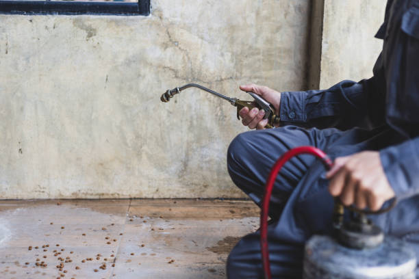 Best Mosquito Control Services  in Florence, CO